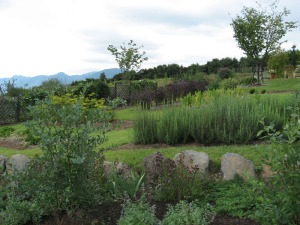 ヴィラデストガーデンファーム